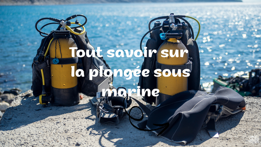 la plongée sous marine