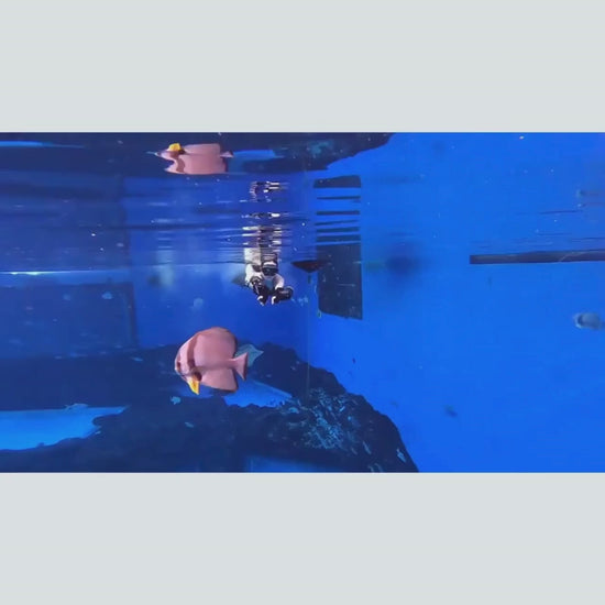Scooter sous marin<br>de bras 20M